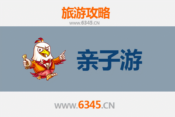 开封尉氏亲子游攻略：古韵新风，全家乐享文化之旅